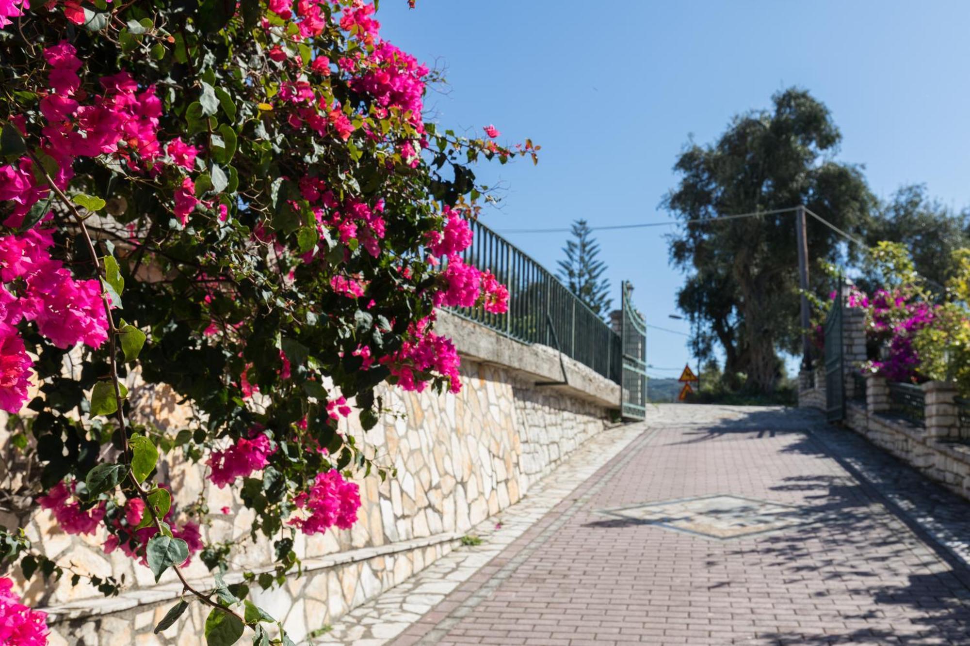 Villa Anthoussa In Palaiokastritsa מראה חיצוני תמונה